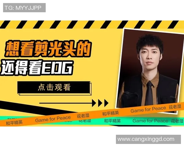 和平精英巨献揭秘EDG技术背后的秘密与创新之路